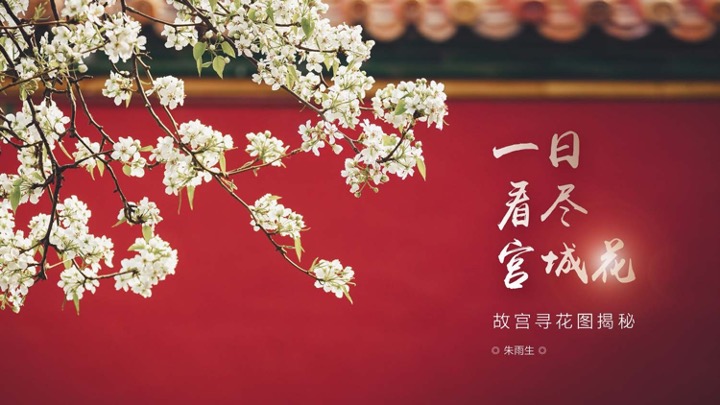 幻灯片1.jpeg